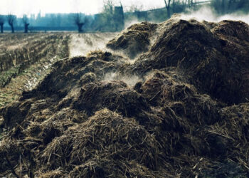 Nubausti du mėšlo nesusitvarkantys ūkininkai