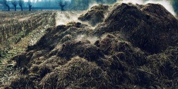 Nubausti du mėšlo nesusitvarkantys ūkininkai