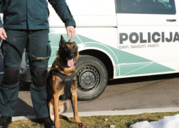 Dingusio vyro ieškojo pasitelkę kinologus