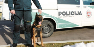 Dingusio vyro ieškojo pasitelkę kinologus