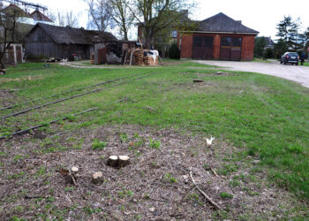 Kas pakėlė ranką prieš grožį?