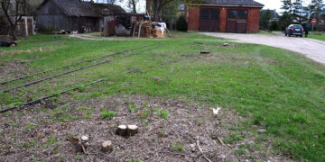 Kas pakėlė ranką prieš grožį?