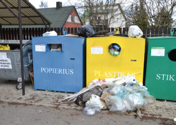 Kodėl pilnų konteinerių neskubama išvežti, arba sudėtinga atliekų surinkimo mašinerija