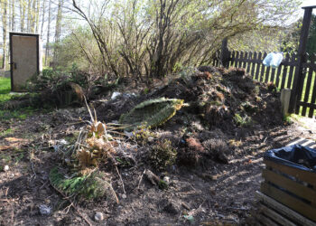 Du Širvėnos ežero krantai – kas geriau?