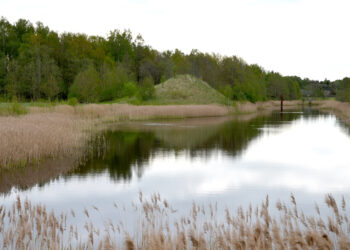 Kas yra privatizacijos klaidų įkaitai?