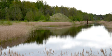 Kas yra privatizacijos klaidų įkaitai?