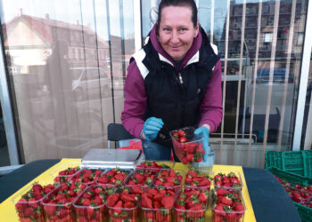 Pirmieji pavasariniai Biržų krašte išauginti delikatesai