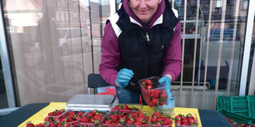 Pirmieji pavasariniai Biržų krašte išauginti delikatesai