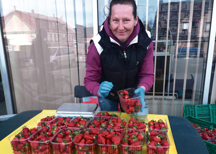 Pirmieji pavasariniai Biržų krašte išauginti delikatesai