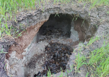 Atsivėrė dvi naujos karsto įgriuvos