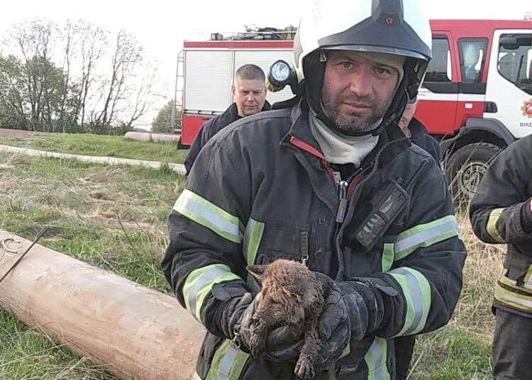 Gelbėjo kaimo žmogų ir lapiuką