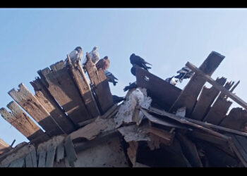 „Mariupolis 2“ pasaulinė premjera – Kanų kino festivalyje