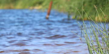 Maudykla papiliečiams jau paruošta