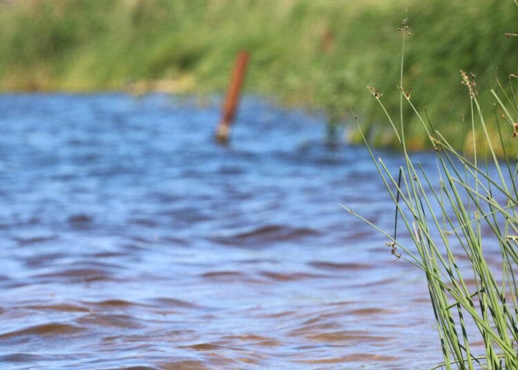 Maudykla papiliečiams jau paruošta