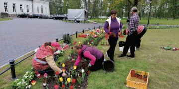 Miestas pražysta gėlėmis