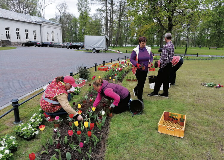 Miestas pražysta gėlėmis
