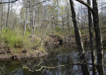 Senoje smegduobėje atsivėrė įgriuva