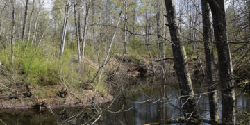 Senoje smegduobėje atsivėrė įgriuva