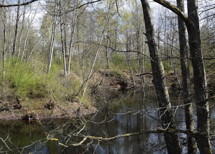 Senoje smegduobėje atsivėrė įgriuva