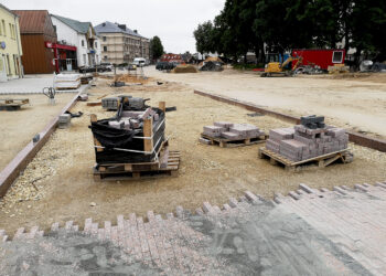 Dieną vogti saugiau?