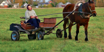 „Užsikrėtę“ arkliais