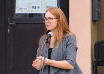 Nematau prasmės dirbti tokioje taryboje