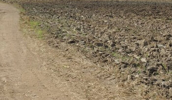 Kova dėl žemės kąsnio