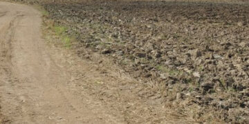 Kova dėl žemės kąsnio