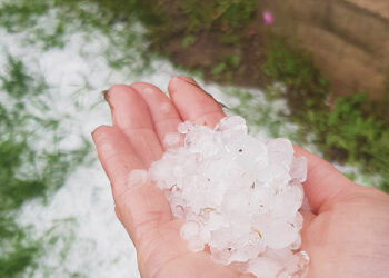 Kruša daužė stogus ir laužė sodinukus