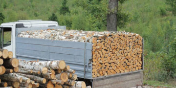 Kietąjį kurą graibsto nepaisydami aukštų kainų