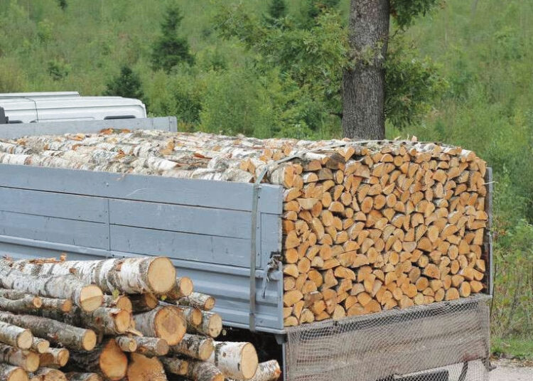 Kietąjį kurą graibsto nepaisydami aukštų kainų