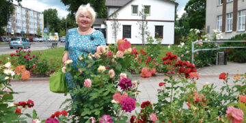 Ką mena rožės ir žmonės