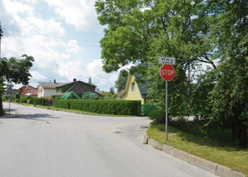 Kur vėjas kertasi su kaštonais