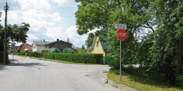 Kur vėjas kertasi su kaštonais