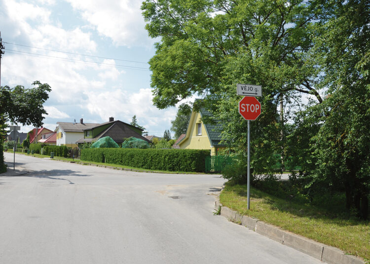 Kur vėjas kertasi su kaštonais