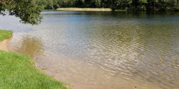 Maudyklų vandens švarus