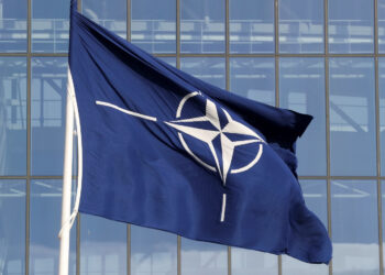 Kokia Jūsų nuomonė apie Seimo nario V. Valkiūno Pasisakymą parlamente dėl Švedijos ir Suomijos stojimo į NATO?