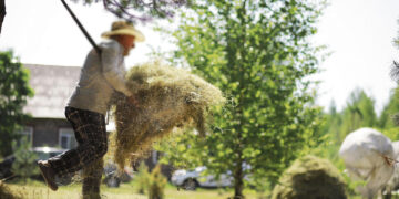 Šieno pertekliaus bėdos