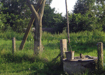 Sunerimo pasigedusi kaimynės