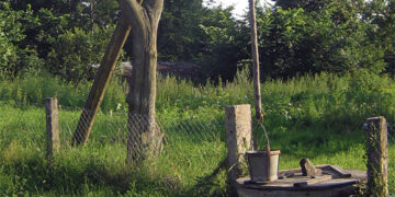 Sunerimo pasigedusi kaimynės