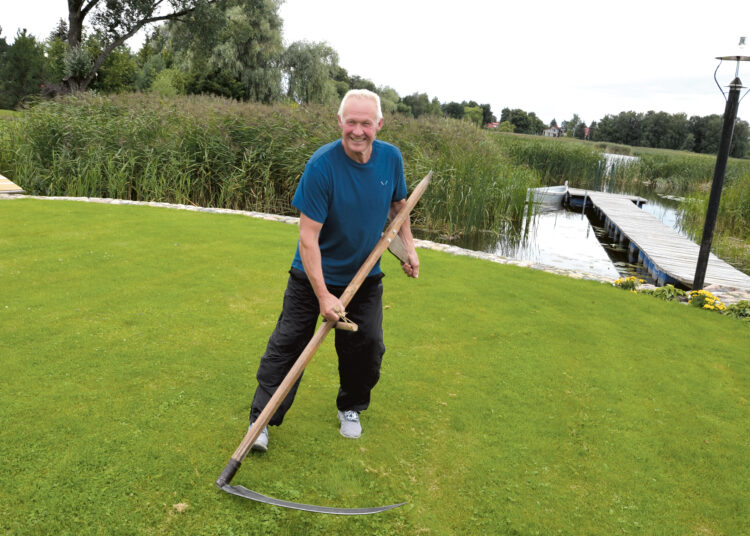 Imsim, broliai, dalgelius