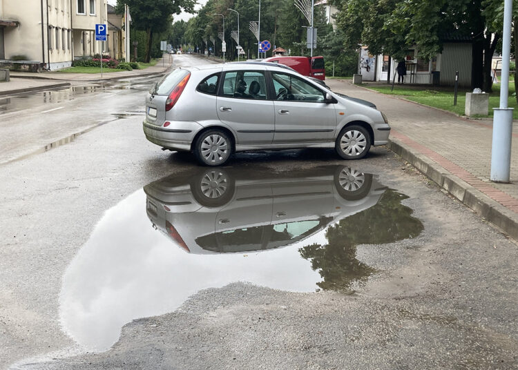 Automobilių statymo gudrybės