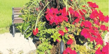 Grybavimas – kaip žvejyba