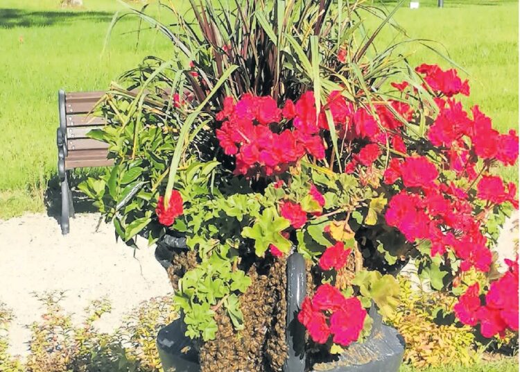 Grybavimas – kaip žvejyba