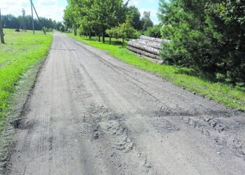 Griovį per kelią liepė užkasti