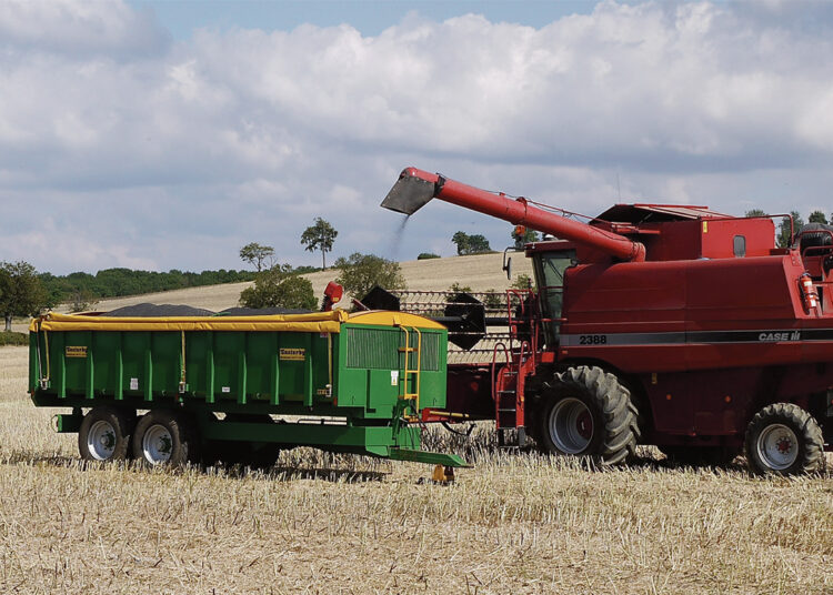 Būsimasis derlius žemdirbių nedžiugina