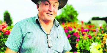 Šukionyse šviečia jurginų laukas