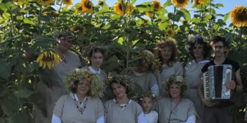 Saulėgrąžų laukelis –  solidarizuojantis  su ukrainiečiais