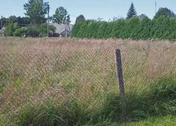 Apie nešienaujamą sodybą seniūnija teigia nežinanti