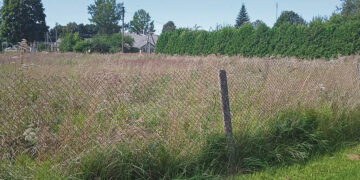 Apie nešienaujamą sodybą seniūnija teigia nežinanti